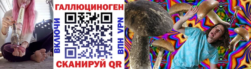 OMG tor  Цимлянск  Галлюциногенные грибы Psilocybine cubensis 
