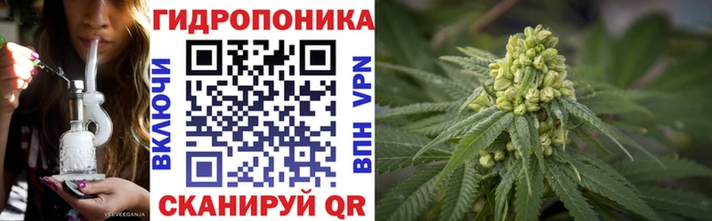 Каннабис план Цимлянск